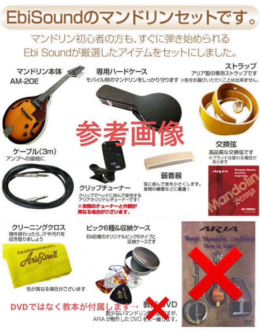 【新品未使用】フラットマンドリン ARIAアリアAM-20E 初心者11点セット