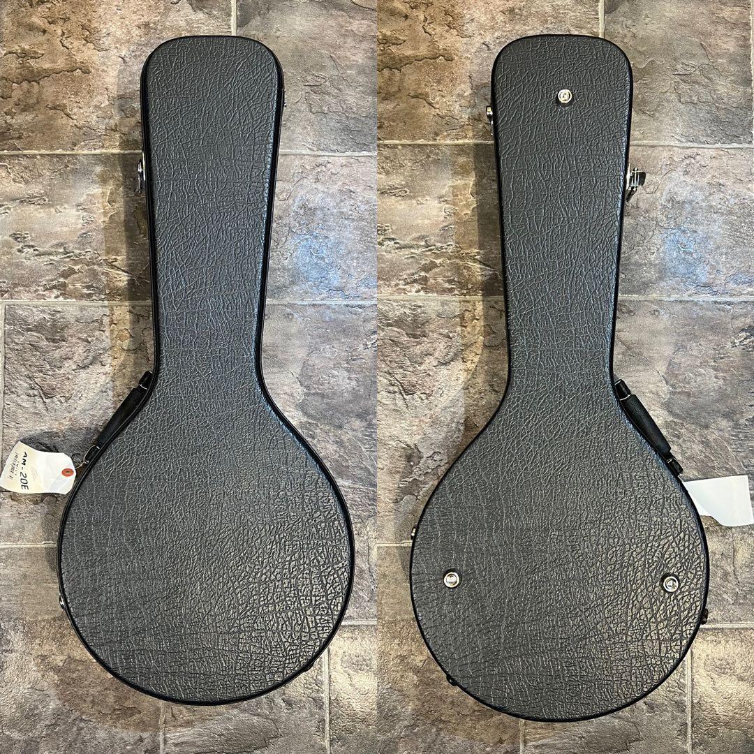 【新品未使用】フラットマンドリン ARIAアリアAM-20E 初心者11点セット