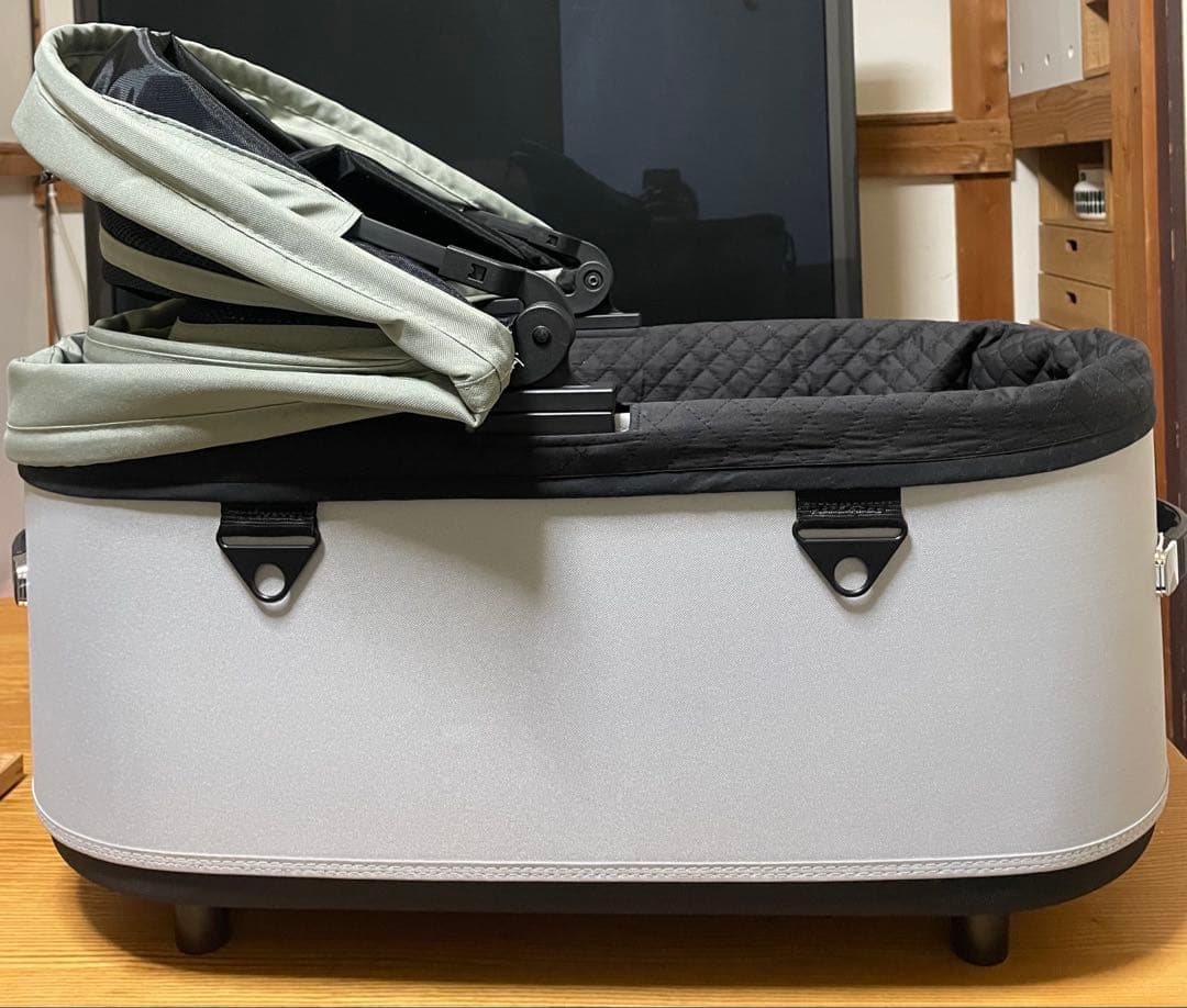 【コット単品】エアバギー　ドーム3ラージサイズ　フォレストモスDOME3＋カバー