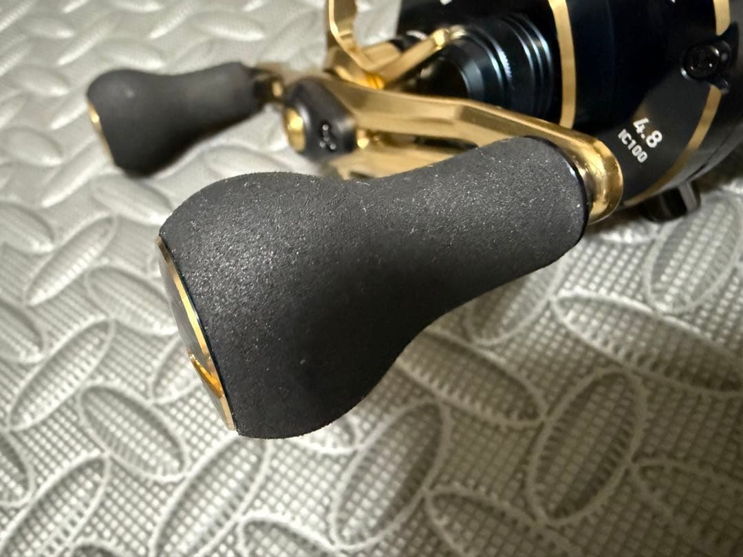 ダイワ ソルティガ IC 100PL-DH