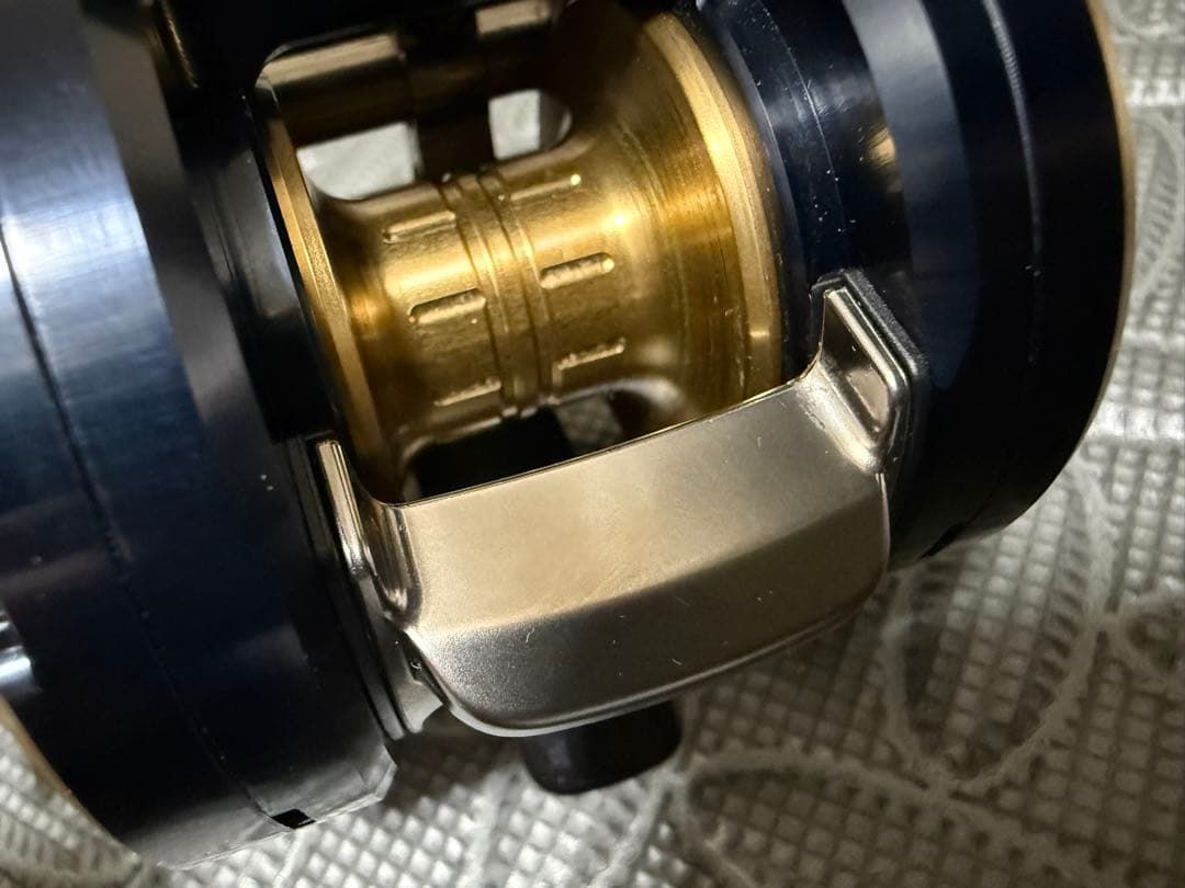 ダイワ ソルティガ IC 100PL-DH