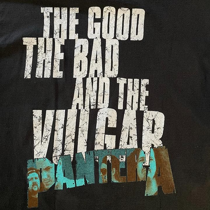 PANTERA Tシャツ 93 L VULGAR Hanes Winter