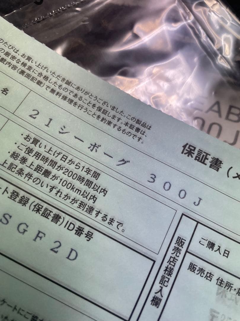 DAIWA ２１SEABORG 300J ダイワ21シーボーグ300J