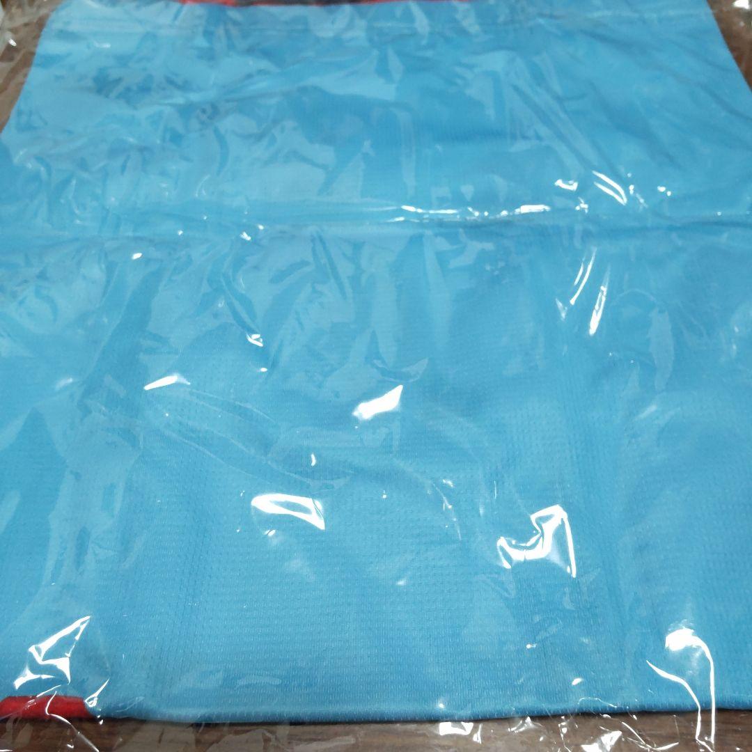 奥田民生NO TAMIO NO LIFEレプリカユニフォーム ビジター/Mサイズ