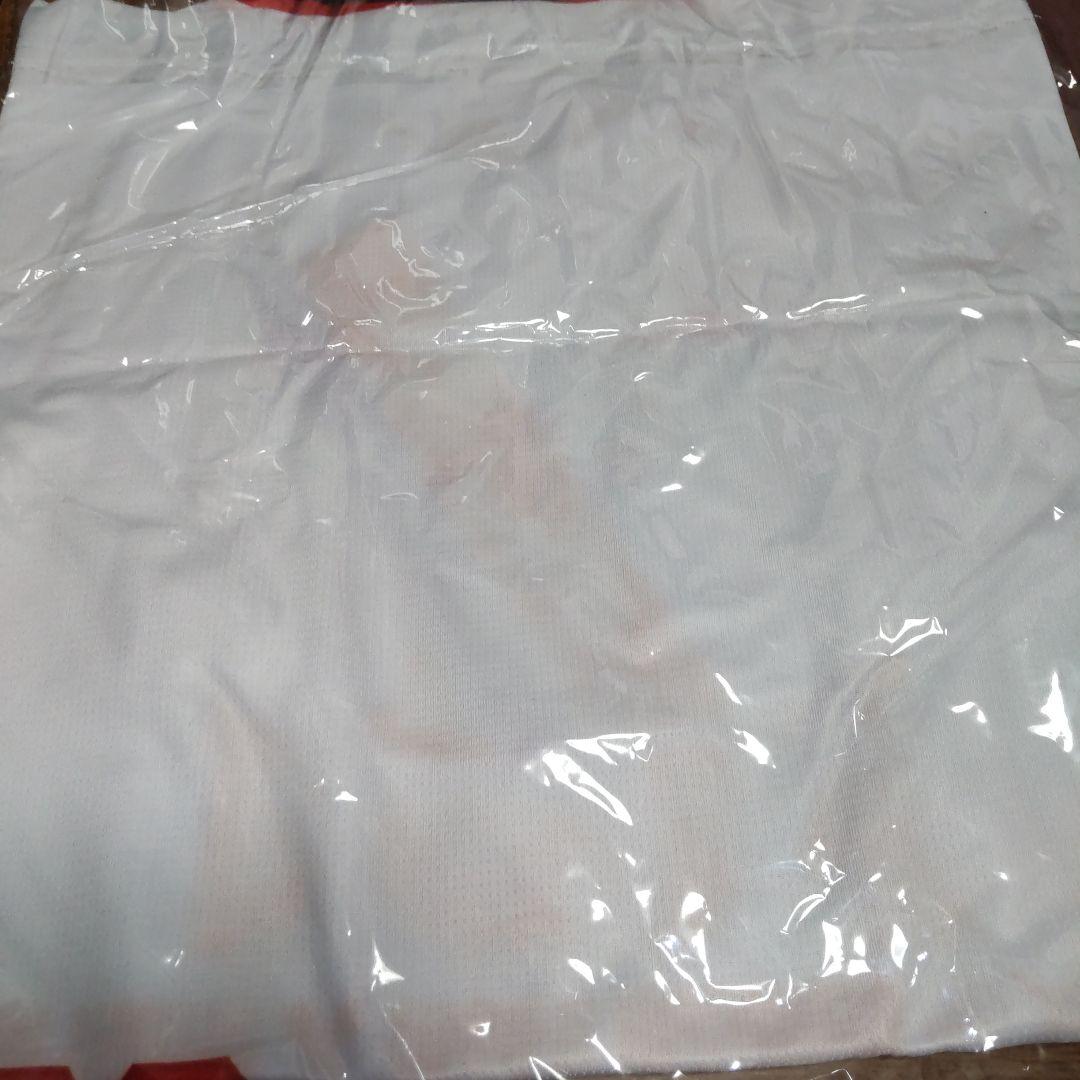 奥田民生NO TAMIO NO LIFEレプリカユニフォーム ビジター/Mサイズ