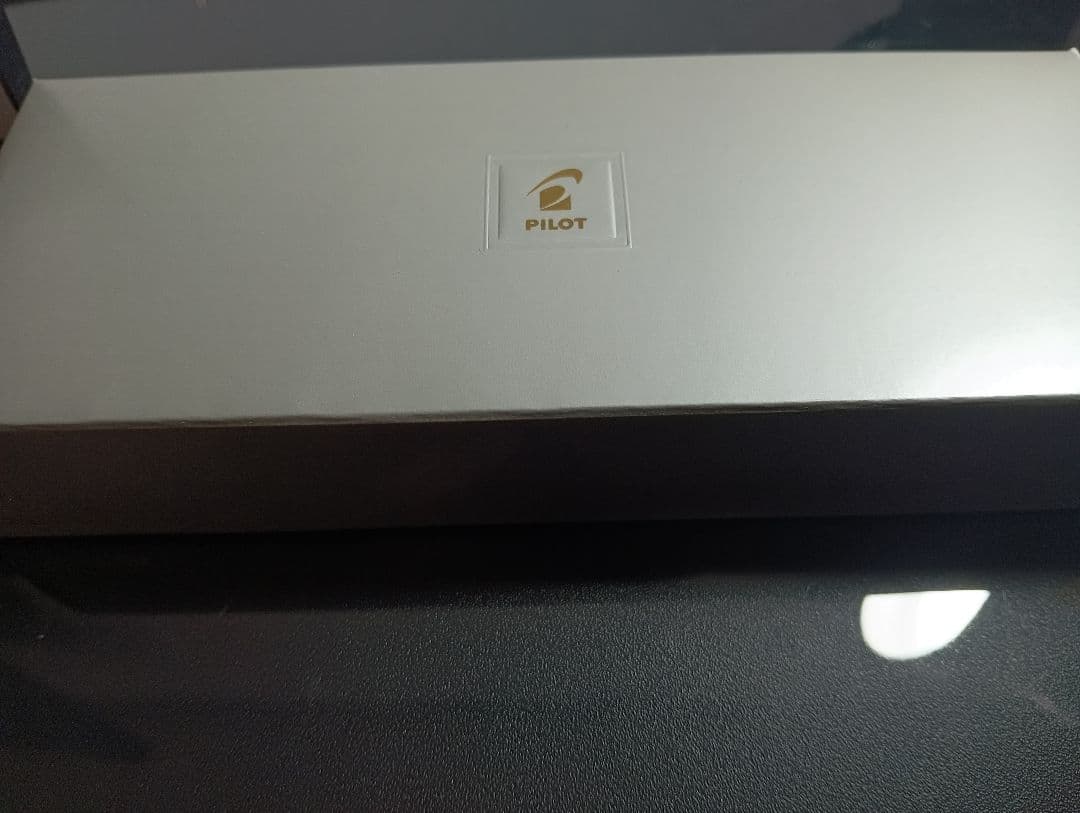 PILOT FC-3MS-S-F ノック式万年筆