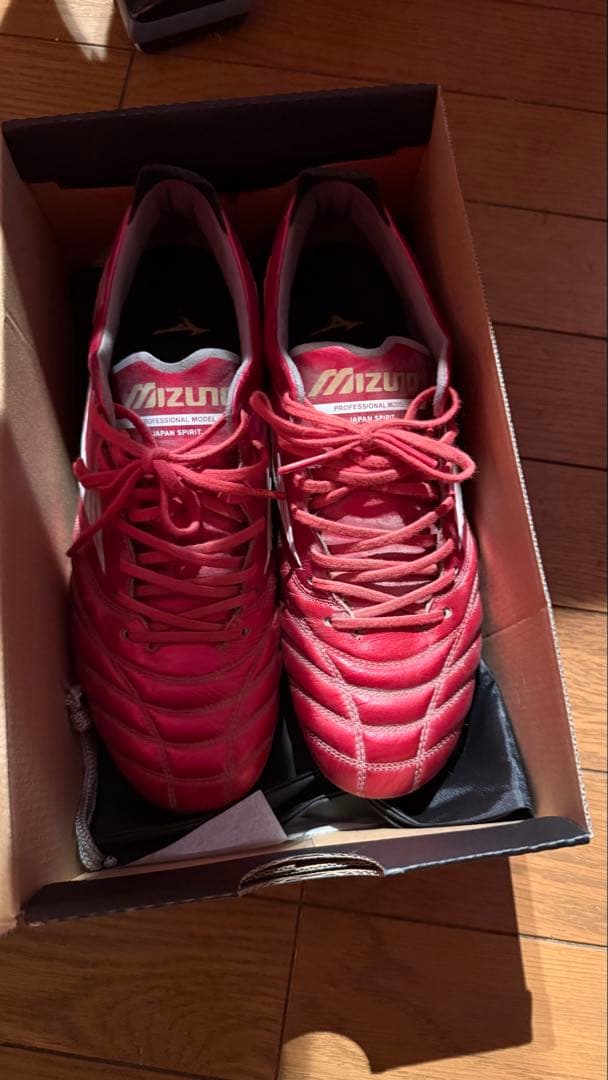 モレリアネオ4 国内限定450足