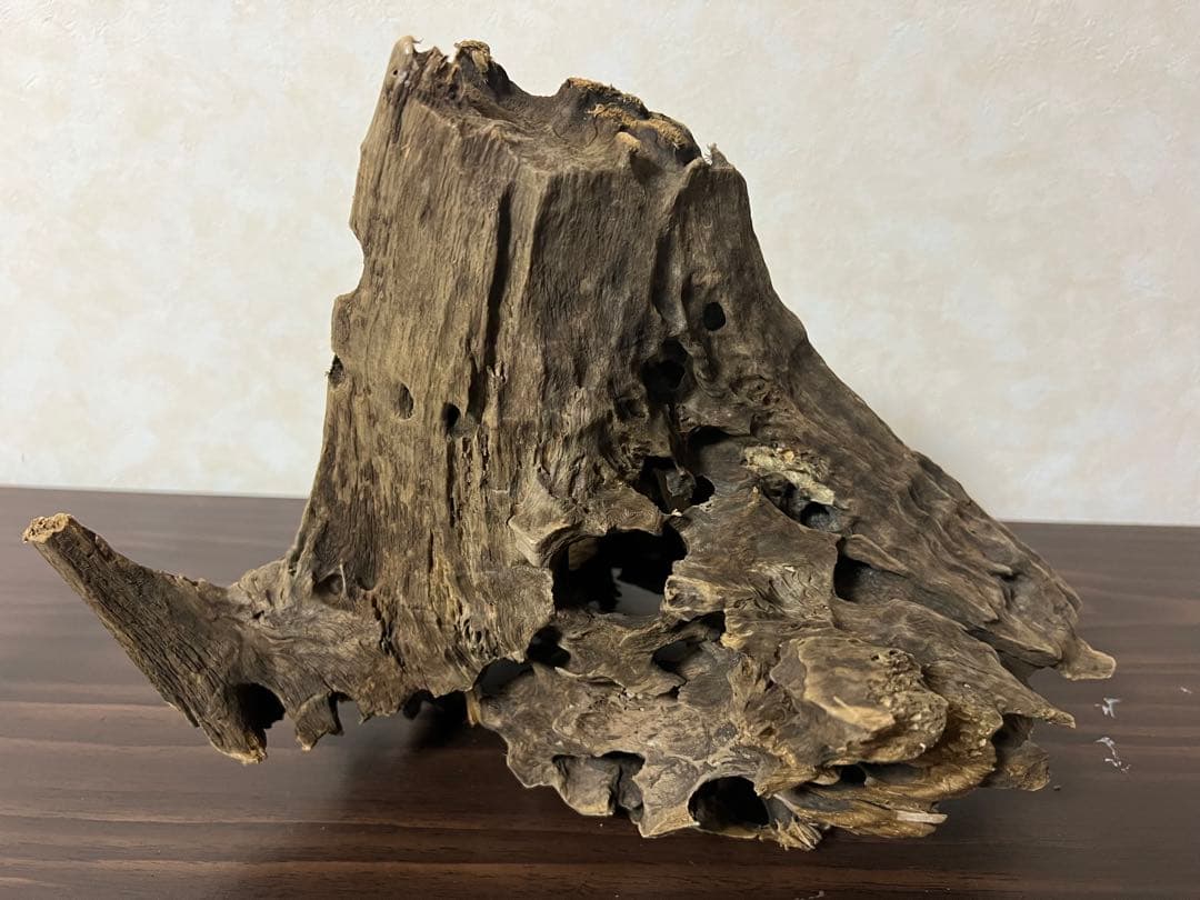 (XM-200)流木　マシンガンウッド　アクアリウム　沈水確認済　ブランチウッド