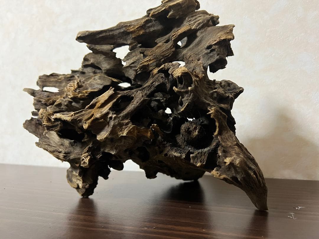 (XM-200)流木　マシンガンウッド　アクアリウム　沈水確認済　ブランチウッド