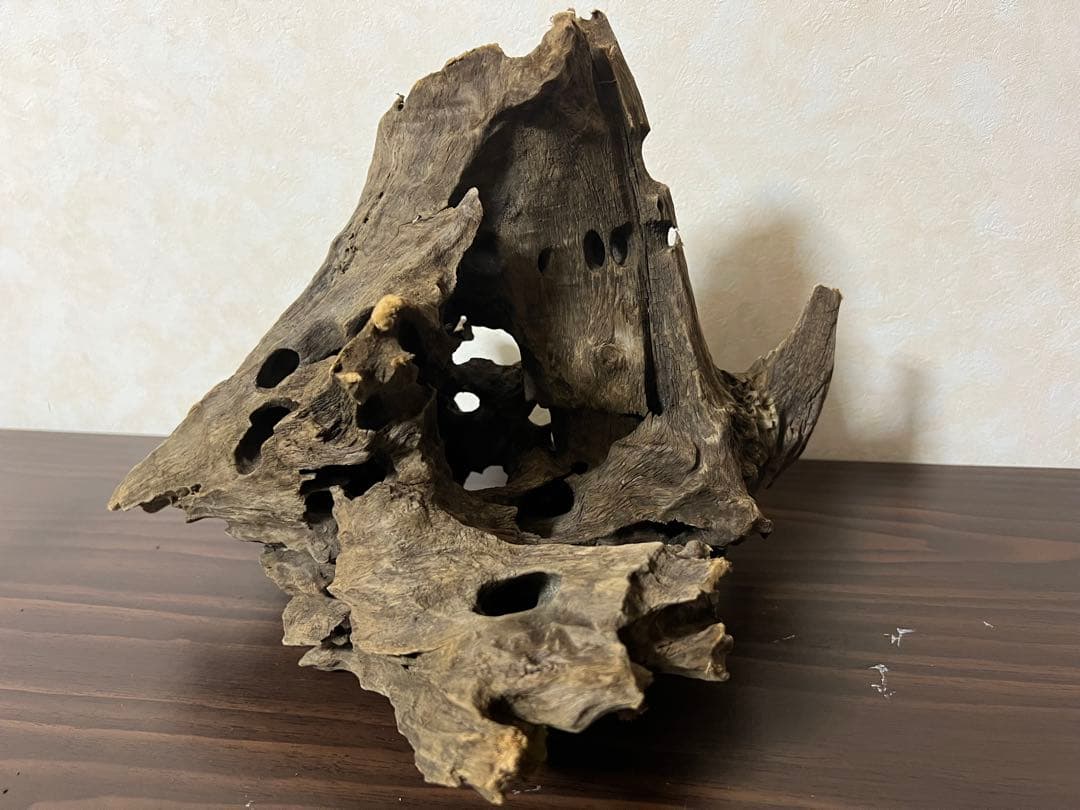 (XM-200)流木　マシンガンウッド　アクアリウム　沈水確認済　ブランチウッド