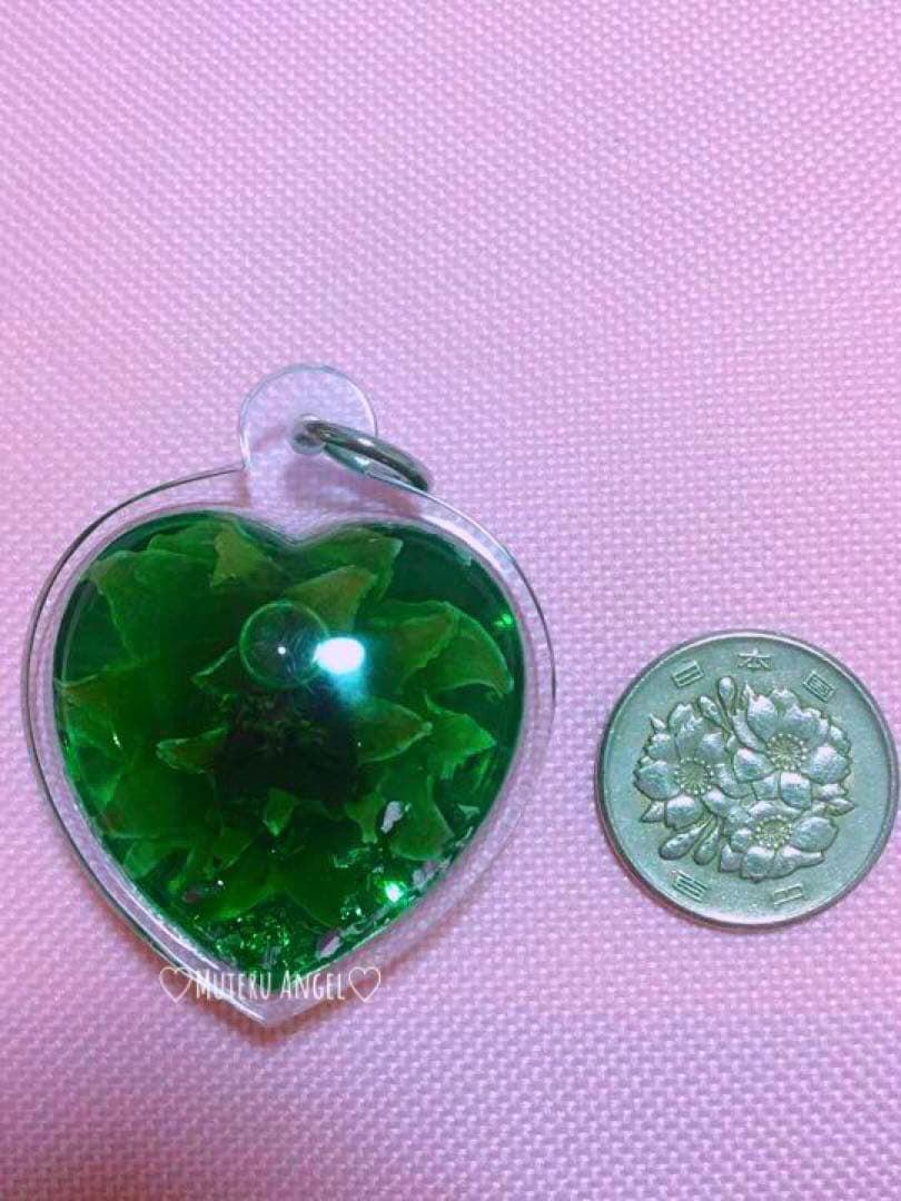 愛の花♡ ドークラックソーン　プラクルアン　緑　ハート