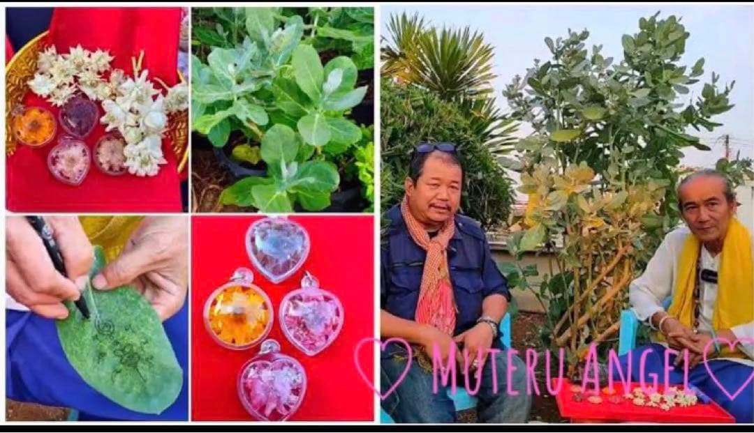 愛の花♡ ドークラックソーン　プラクルアン　緑　ハート