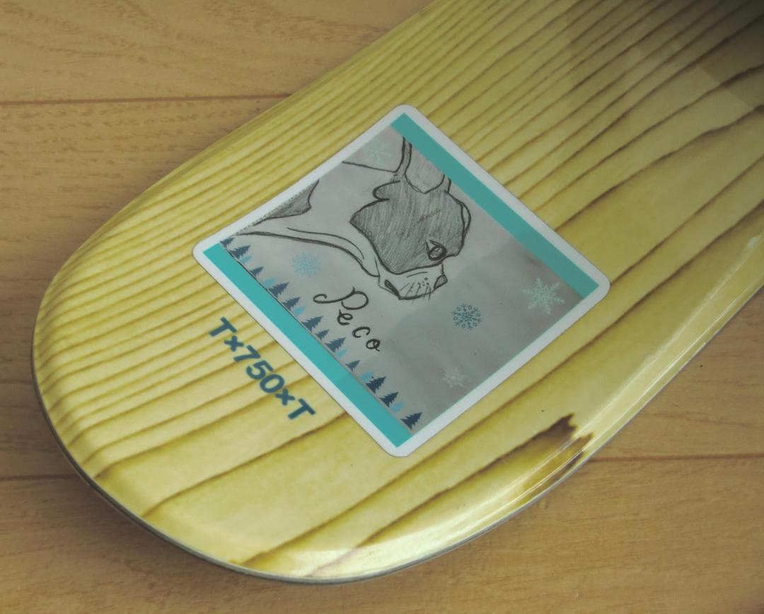 ■■送料無料■SWALLOW■T×750×T■ファンスキー■ソフトブーツ用■■