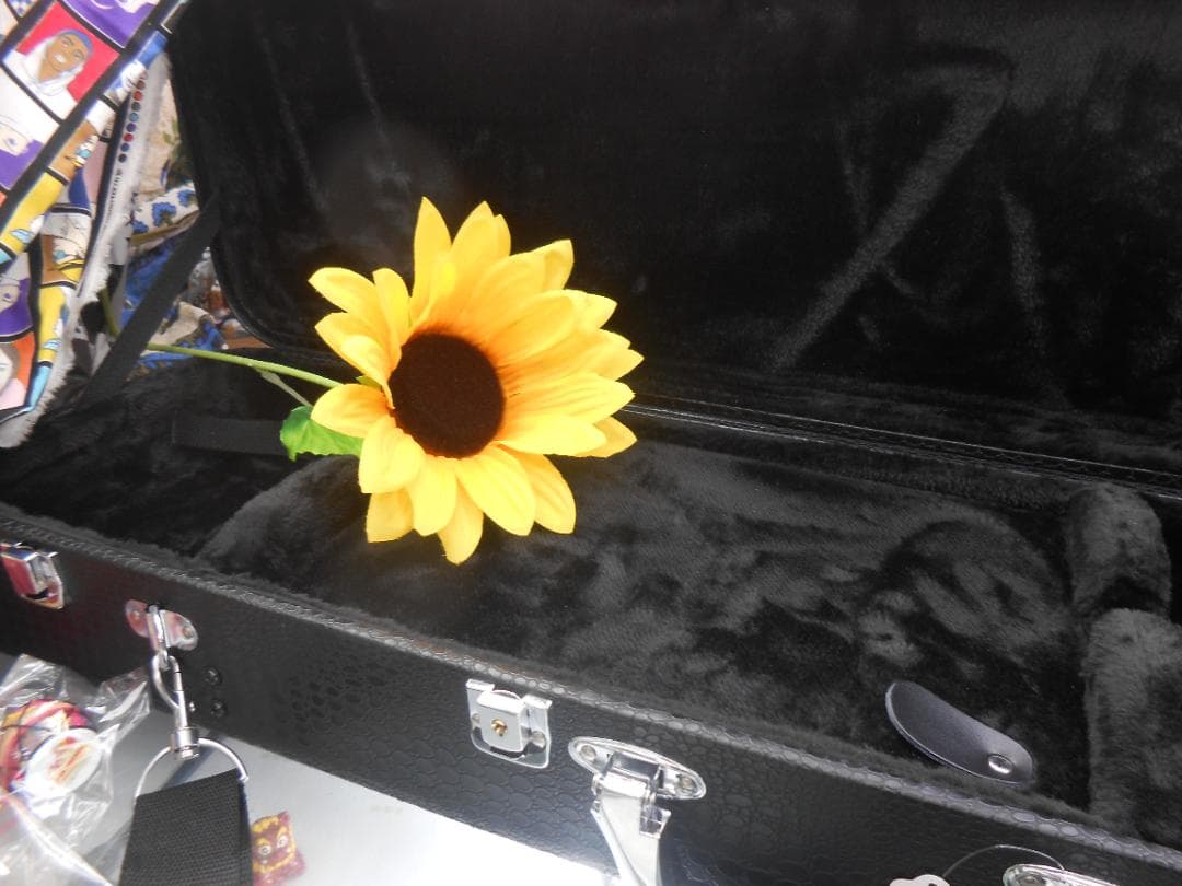 新品未使用(送料無料)11.980円三線専用N肩紐付き一丁入ふかふかハードケース