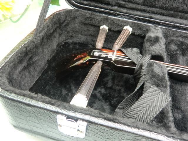 新品未使用(送料無料)11.980円三線専用N肩紐付き一丁入ふかふかハードケース