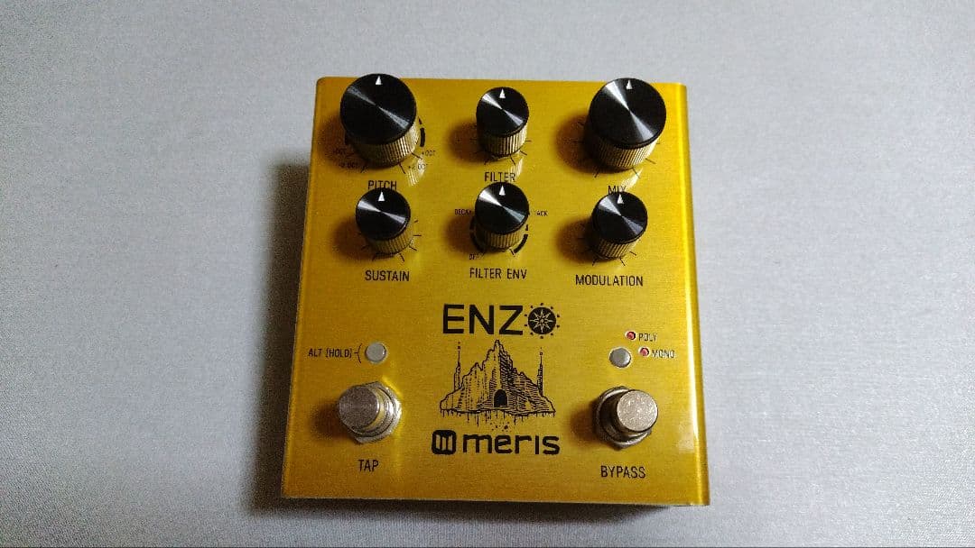 ギター meris Enzo