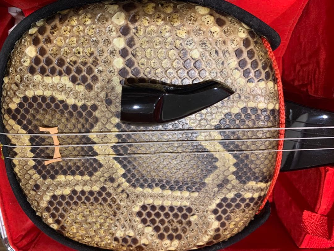 沖縄三線 ヘビ皮製 ケース付き