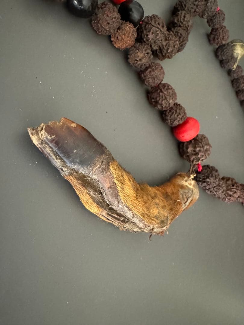 貴重★ オールドシャーマンネックレス / チベット ネパール インド 菩提樹