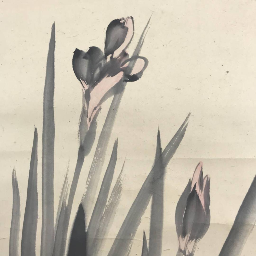 【真作】鈴木松年/燕子花翡翠図/カキツバタ/カワセミ/掛軸/名家伝来AB-694