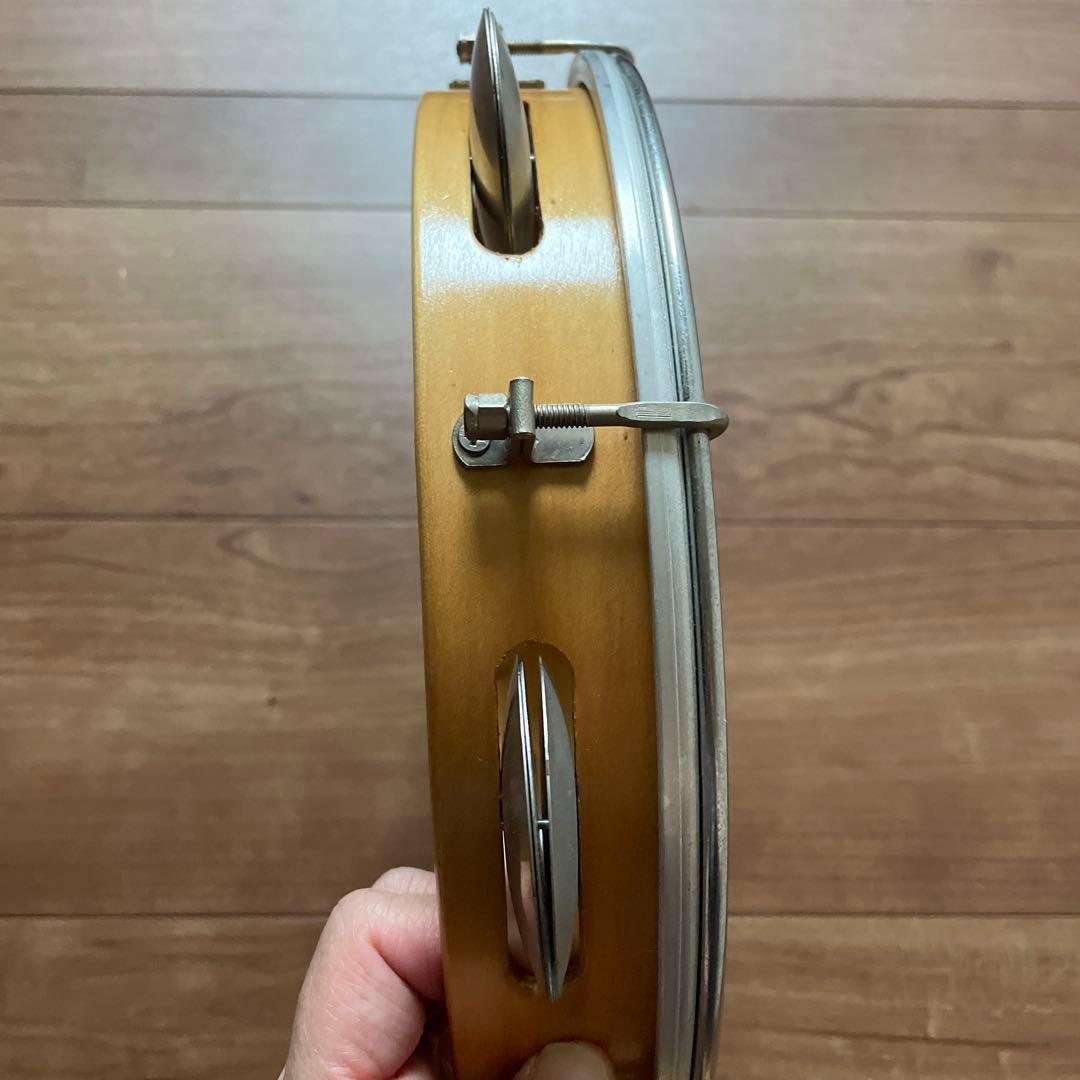 パンデイロ CONTEMPORANEA PDMV105C 楽器