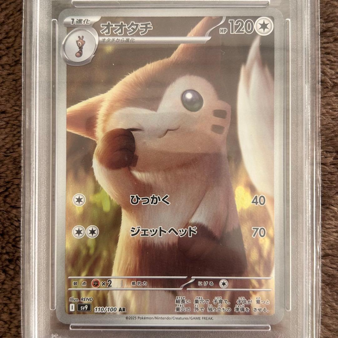 【PSA10】オオタチ AR ポケモンカード 鑑定品