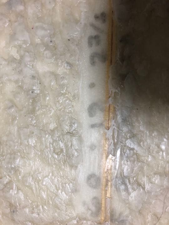 アルメリック　サーフボード　サーフィン