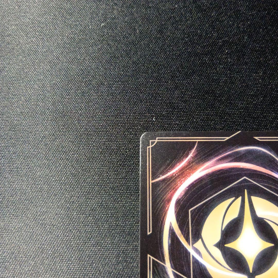 ディズニーロルカナ　WE COULD BE IMMORTALS　エンチャンテッド