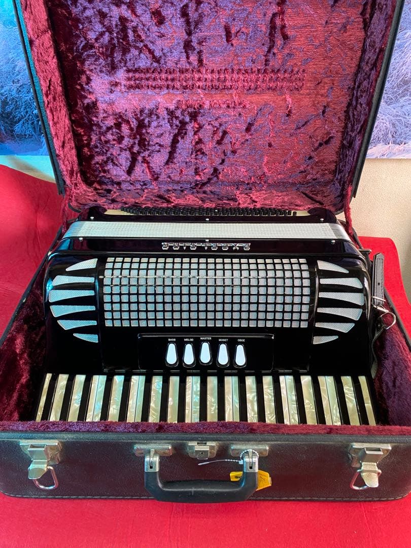 綺麗に保管された美品、EXCELSIOR400.41鍵120べース443hz