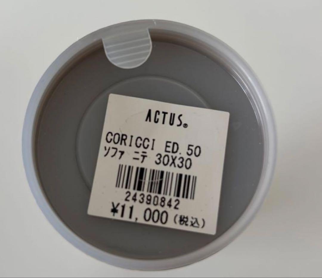 coricci ソファにて 30 x 30cm