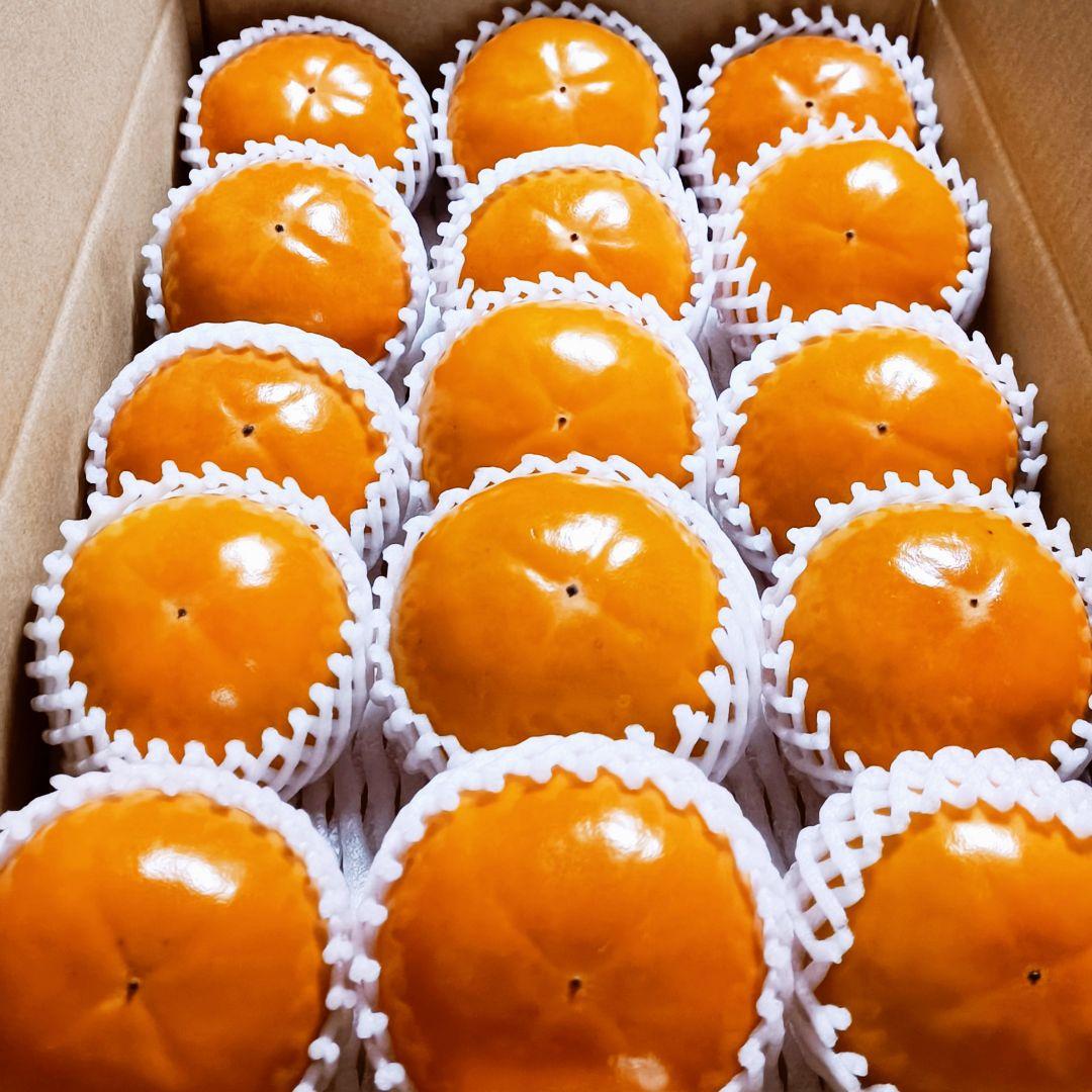 【高級大玉甘柿】福岡杷木ブランド富有柿4.5kg×2箱