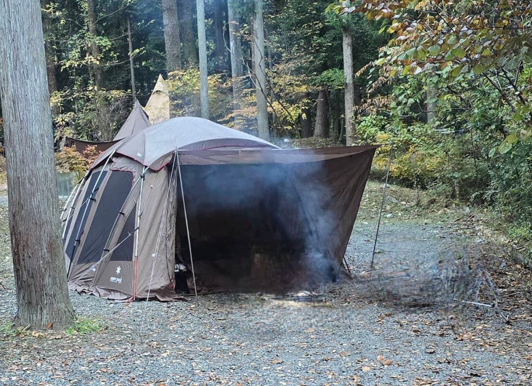  peakトルテュ Pro　TP770-R