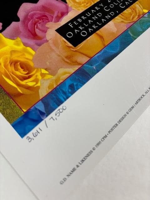 額装品/グレイトフルデッド Mardi Gras 1995/アートポスター