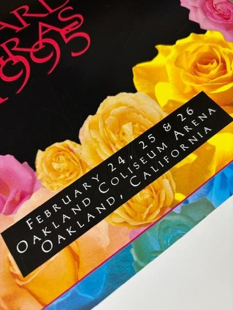 額装品/グレイトフルデッド Mardi Gras 1995/アートポスター