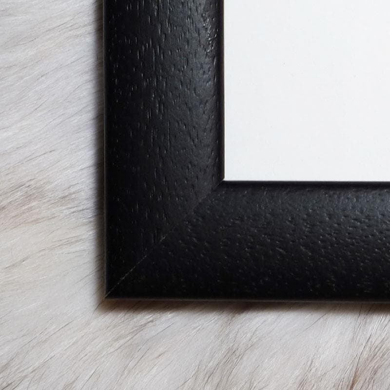 額装品/グレイトフルデッド Mardi Gras 1995/アートポスター