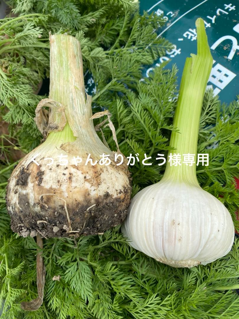 くっちゃんありがとう