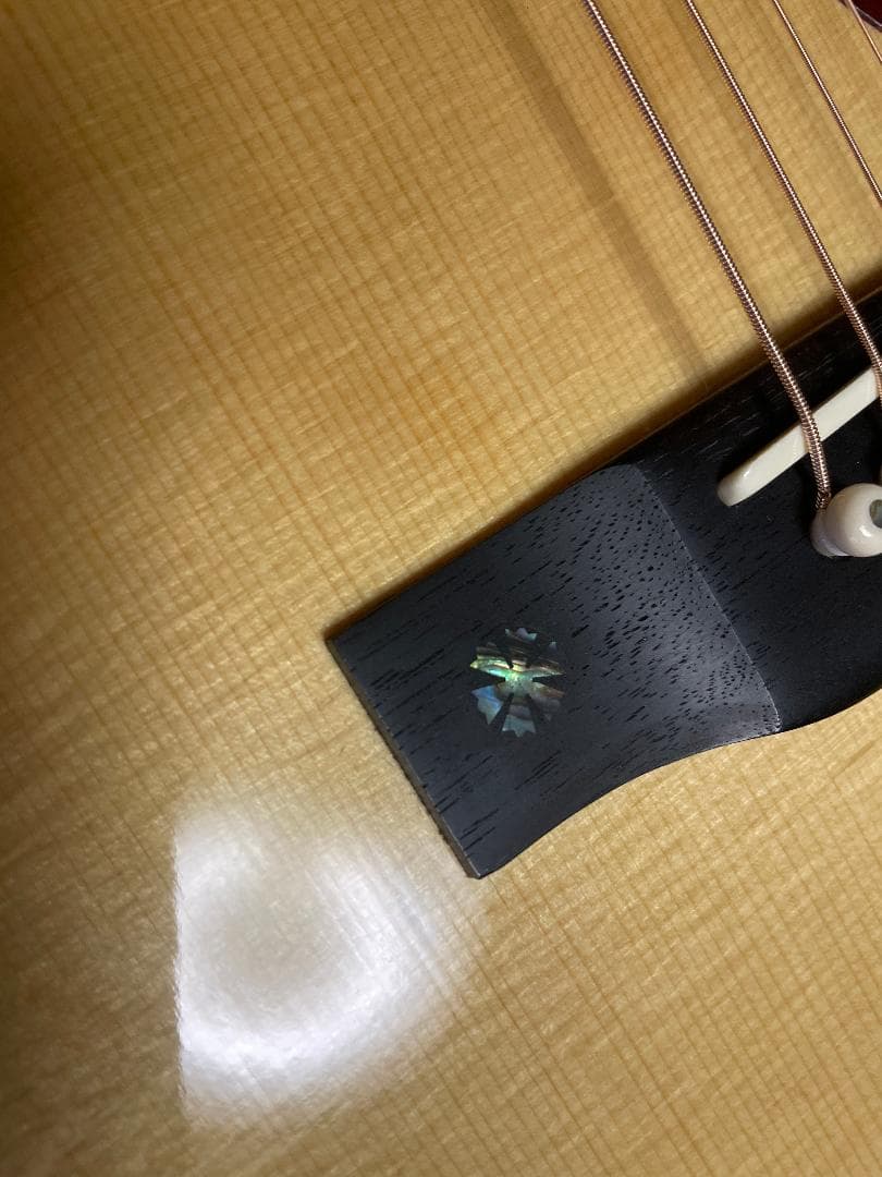 ギター Aria Dreadnoght AF-60