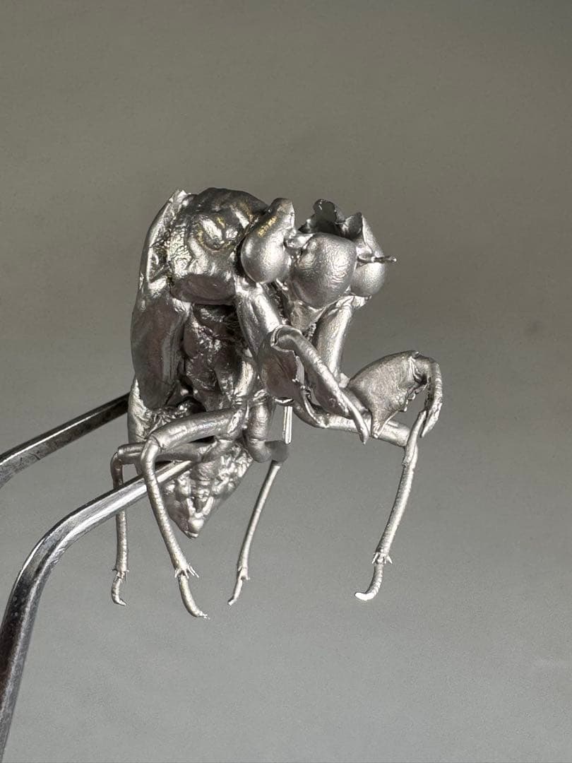 蝉　蝉の抜け殻　セミ　オブジェ　虫好き　金属製　標本