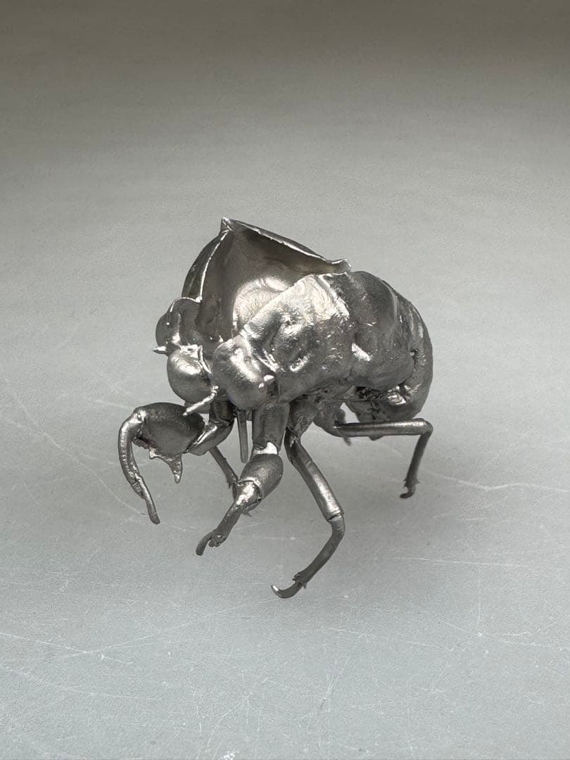 蝉　蝉の抜け殻　セミ　オブジェ　虫好き　金属製　標本