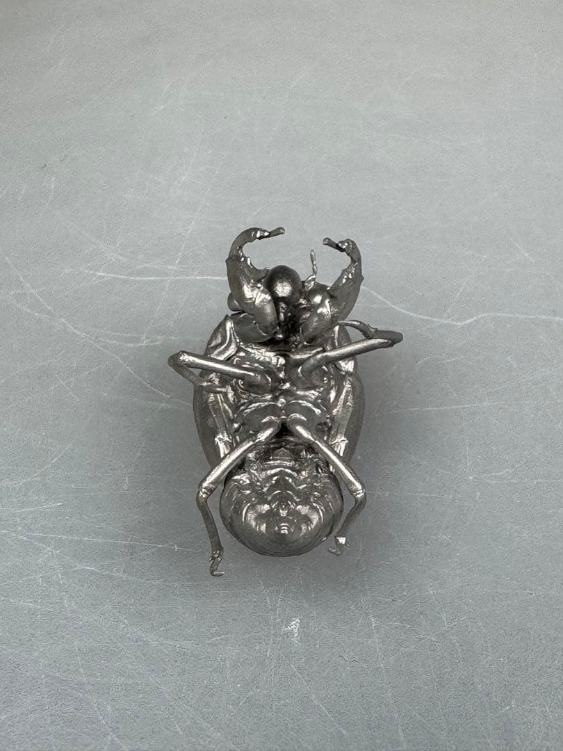 蝉　蝉の抜け殻　セミ　オブジェ　虫好き　金属製　標本