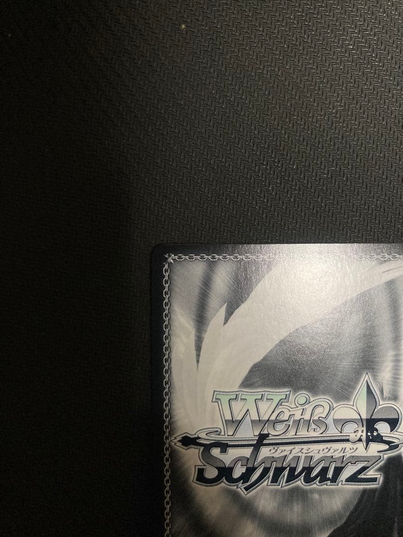 未来へ一緒に 尾丸ポルカ SSP