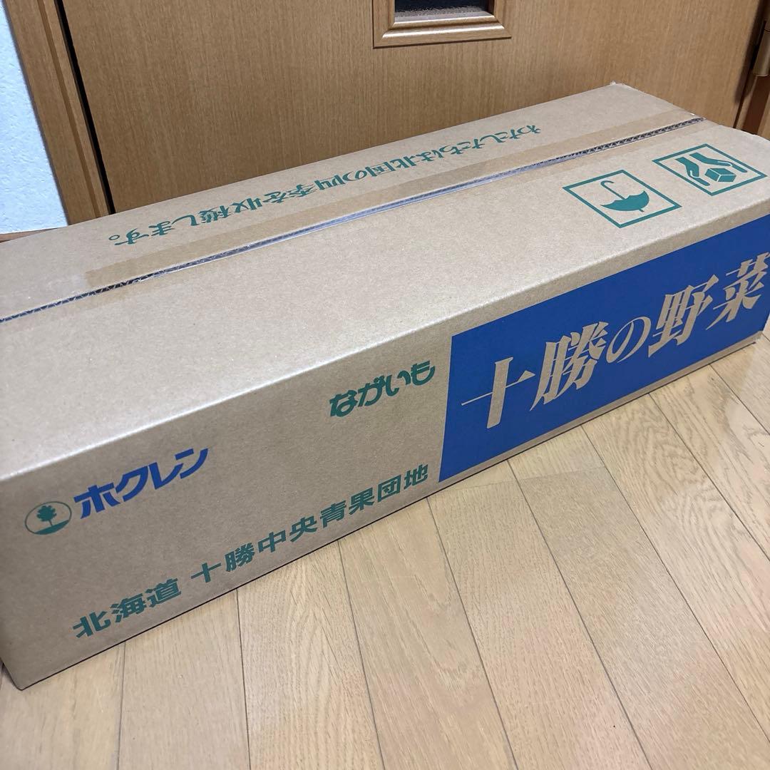 北海道産 長芋 A品20本