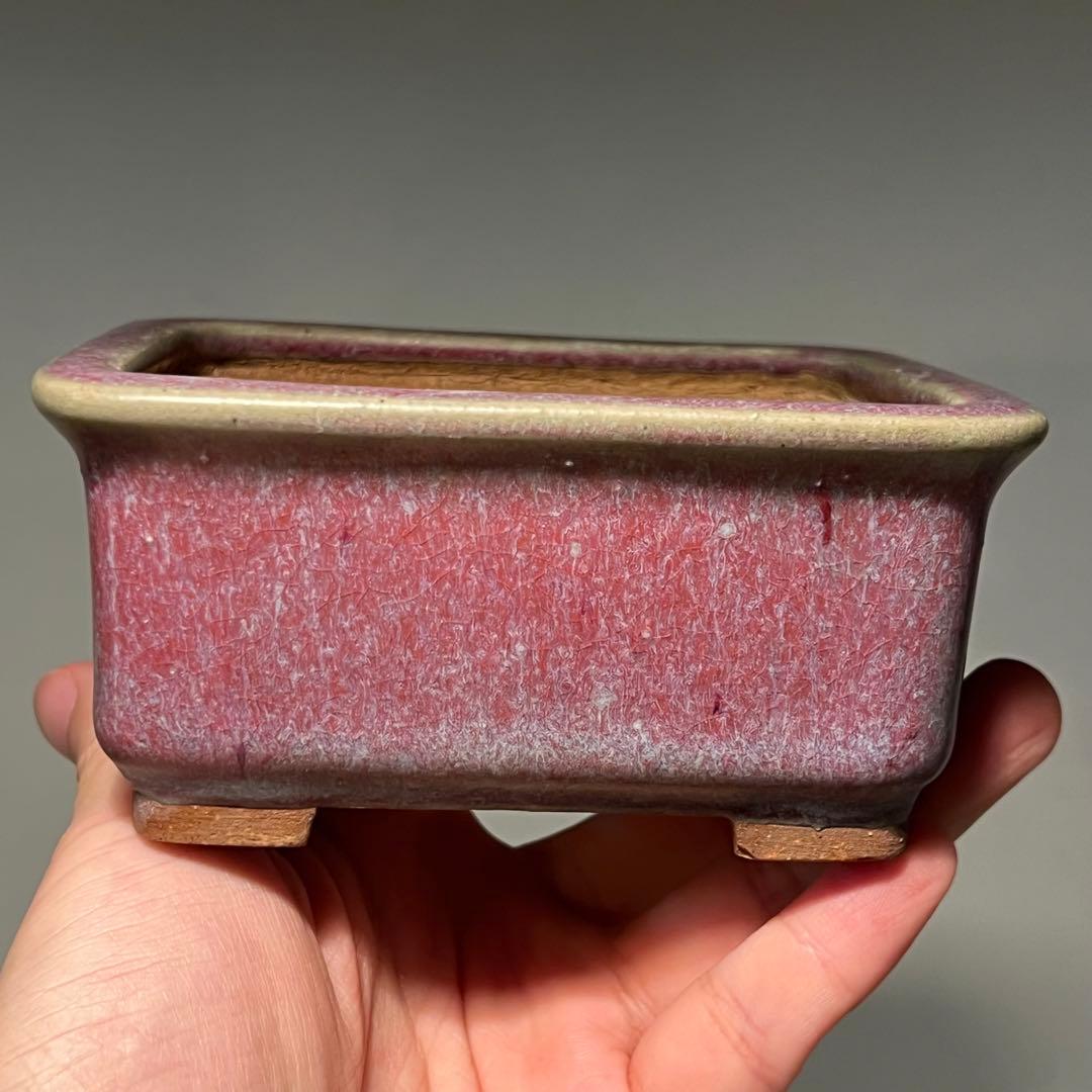 835.平安虹泉 紫釉抚角長方 盆栽鉢 植木鉢 11.7*9.7*5.7cm