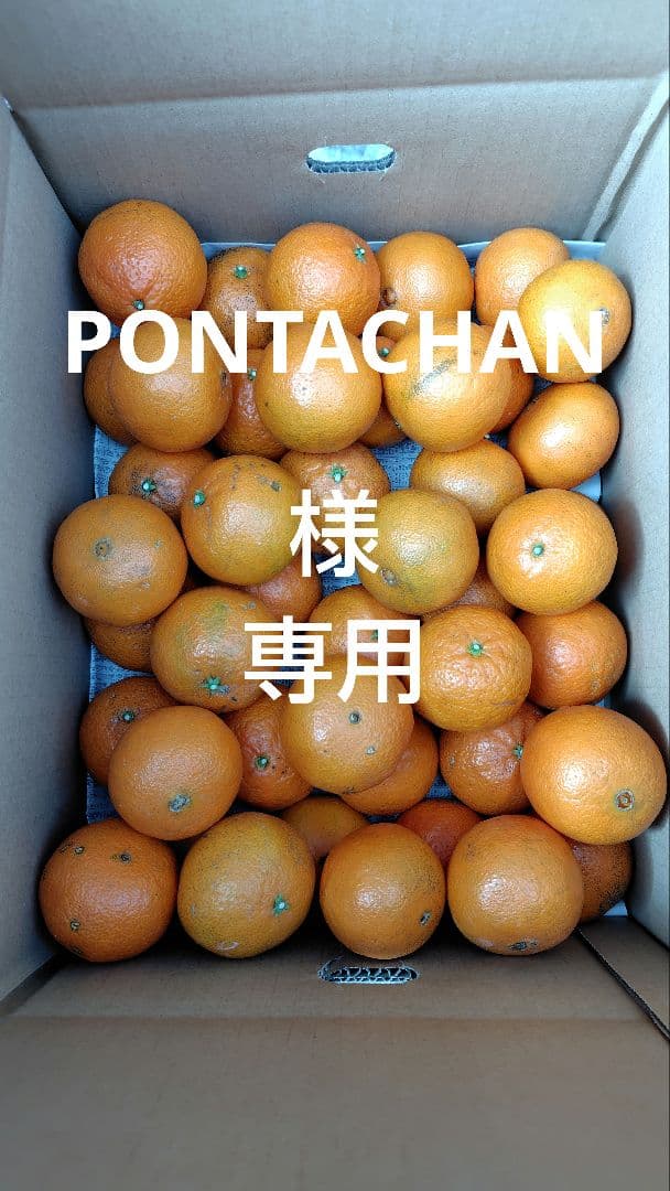 津之輝20㎏(家庭用)PONTACHAN#2