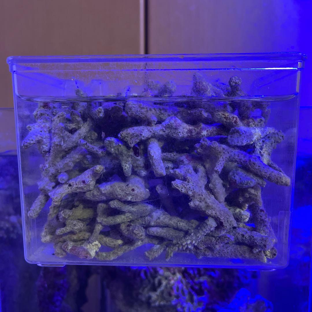 天然ライブロック　フライドポテト