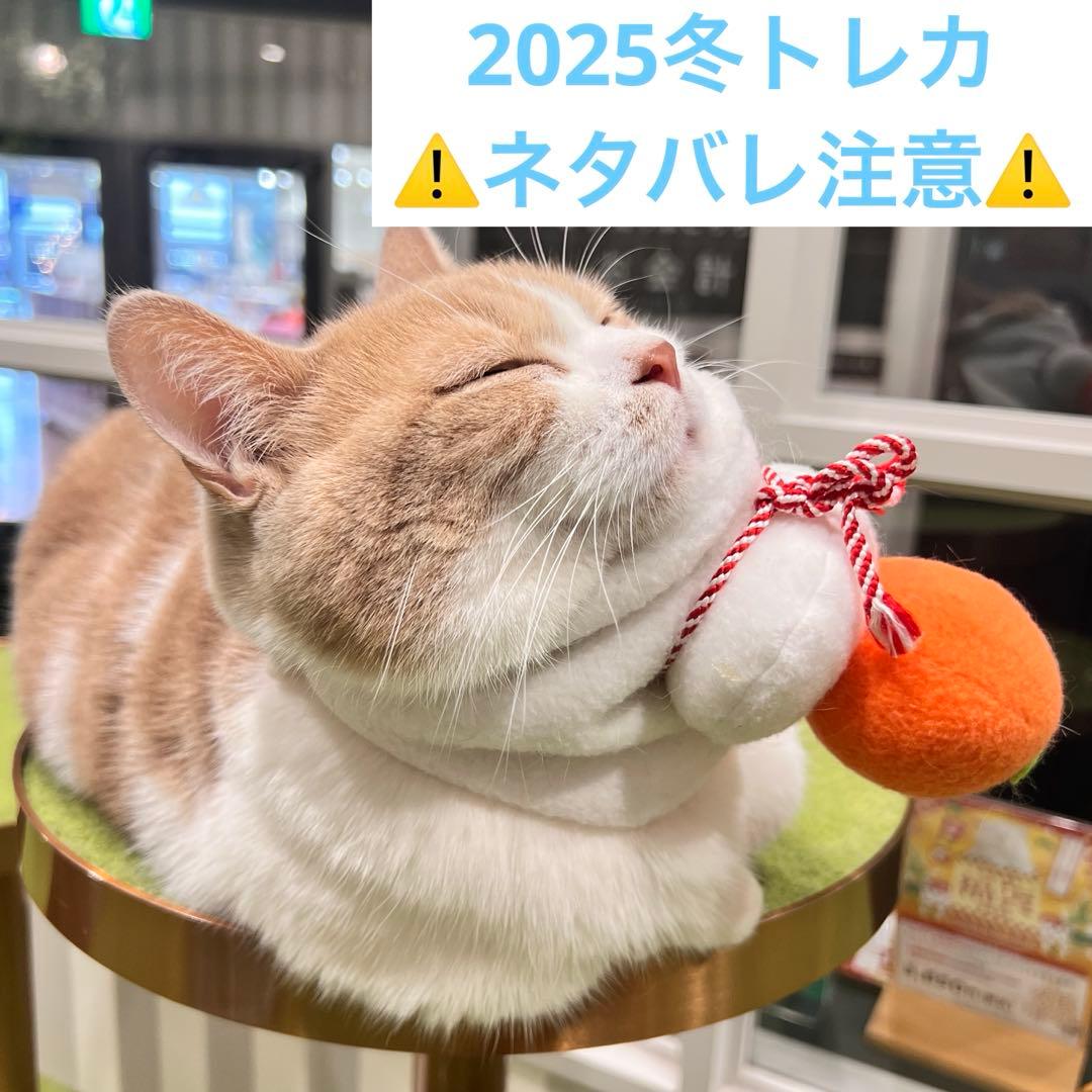 猫カフェmocha にゃんずトレカ　どきどきバレンタイン　アルシェ大宮店