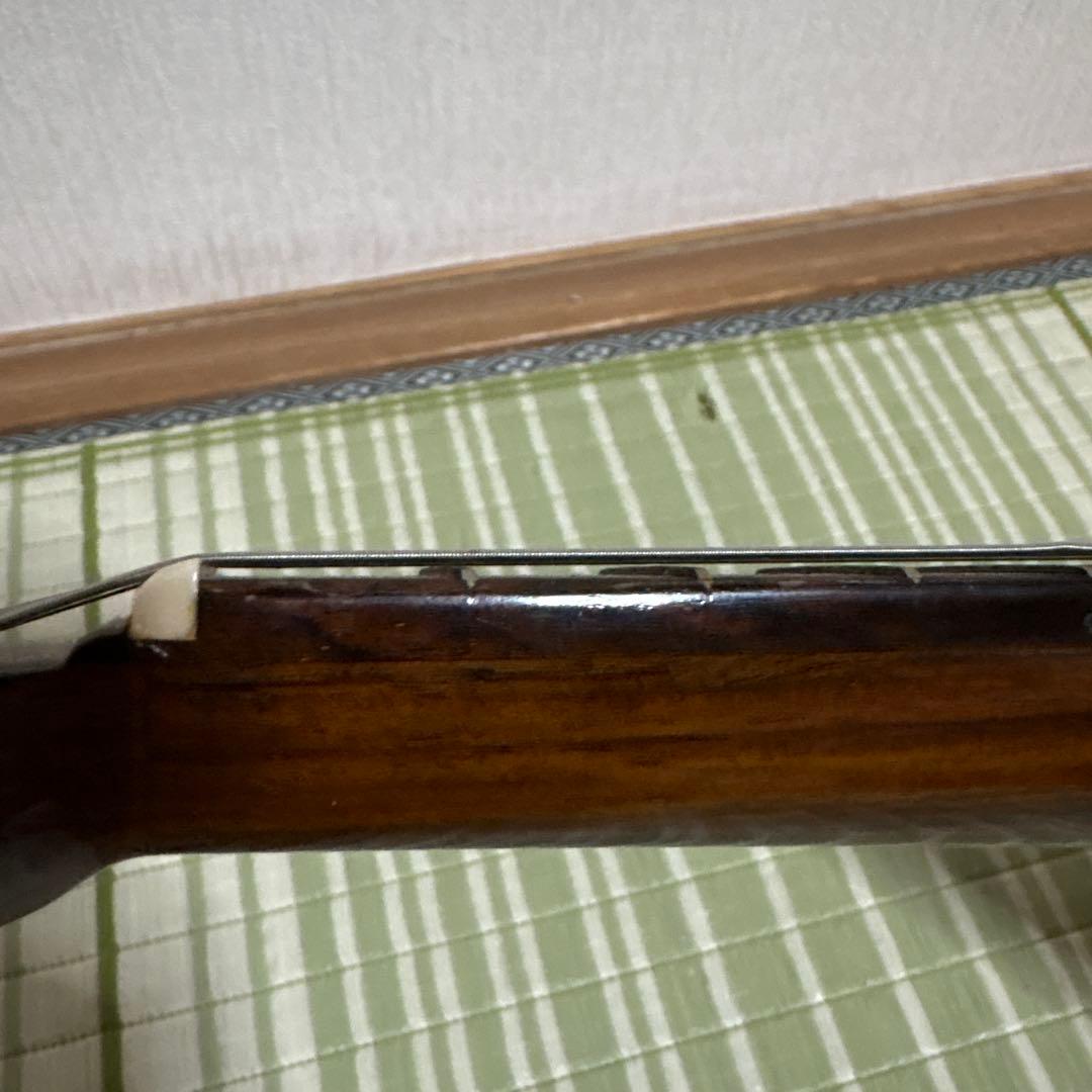 Raffaele 寺田楽器製 ハイエンド マンドリン RM-3 弦　ギター