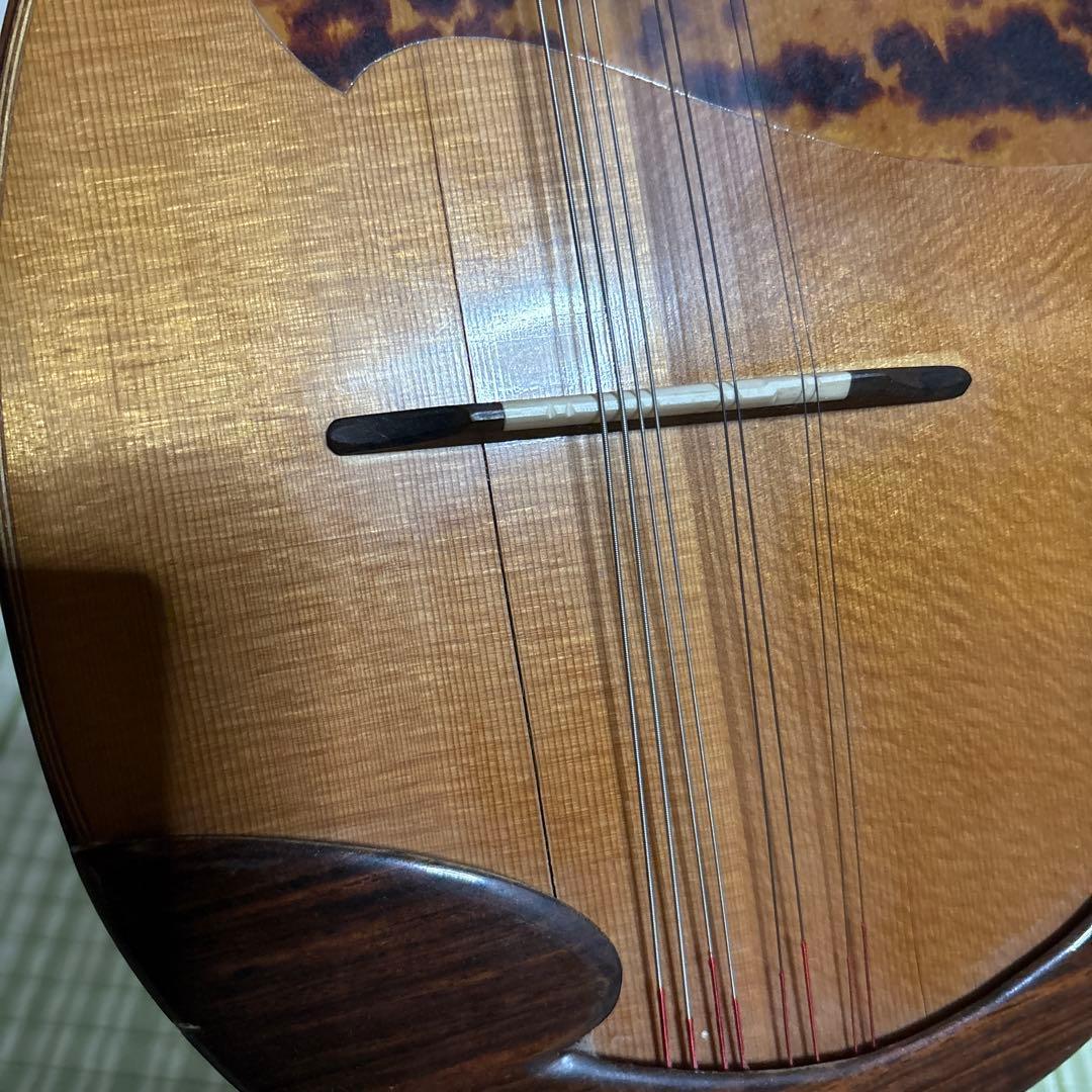 Raffaele 寺田楽器製 ハイエンド マンドリン RM-3 弦　ギター