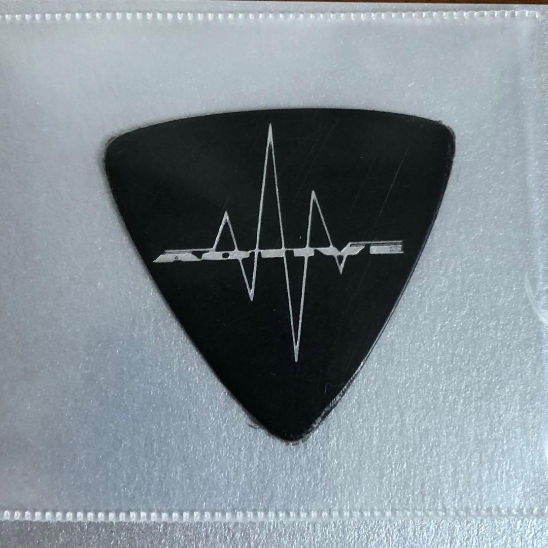 HISASHI 本人使用 ピック