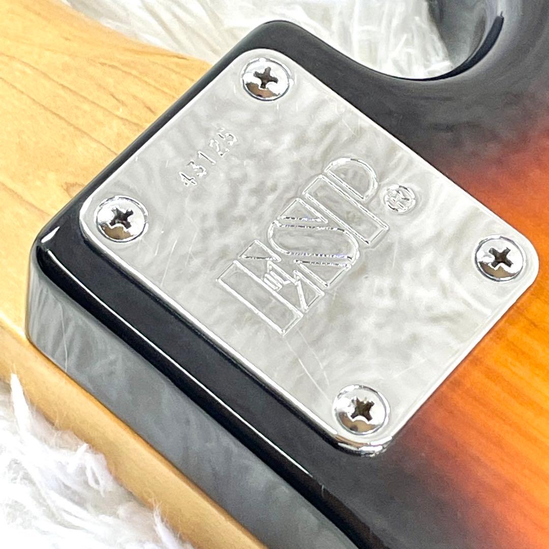 【激レア】ESP AP-190 Custom 5弦ベース IKUO シグネイチャ