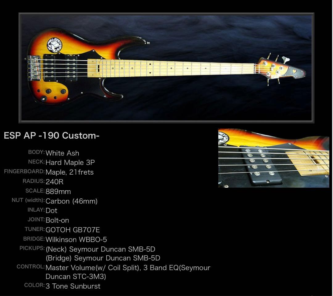 【激レア】ESP AP-190 Custom 5弦ベース IKUO シグネイチャ